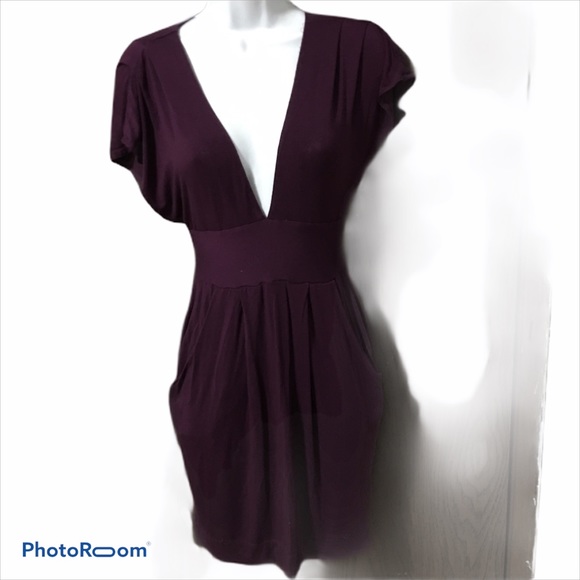 Aritzia Wilfred Purple Dress